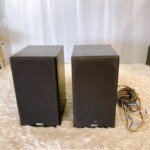 NS-10MM