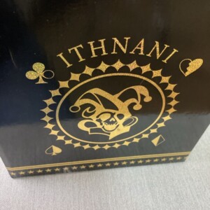 1/6 SCALE PAINTED FIGURE イスナーニ 寄り