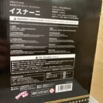 1/6 SCALE PAINTED FIGURE イスナーニ　型番