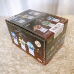 ポケモン テラリウムコレクション15 全6種入りBOX 正面