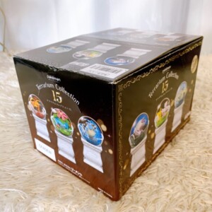 ポケモン テラリウムコレクション15 全6種入りBOX 斜め