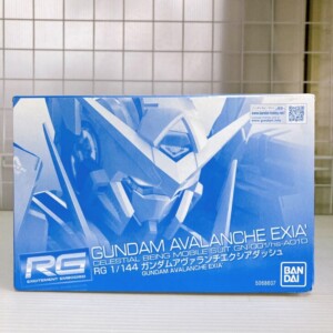 RG 1/144 ガンダムアヴァランチエクシアダッシュ 背面