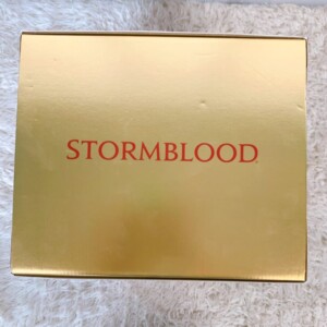 STORMBLOOD 上部