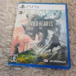 PS5 ソフトWILD HEARTS（ワイルドハーツ）