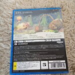 PS5 ソフトWILD HEARTS（ワイルドハーツ）