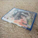 PS5 ソフトWILD HEARTS（ワイルドハーツ）