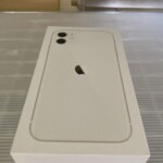 Apple iPhone 11 A2221