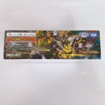 デュエル・マスターズ TCG 王道W 第2弾 拡張パックBOX