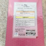 Re:ゼロから始める異世界生活 SSSフィギュア ラム in Milky Way