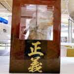 ワンピース 一番くじ VS海軍編赤犬