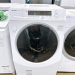 SHARP（シャープ） ドラム式電気洗濯乾燥機 ES-H10G-WR