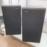 DS-66EX